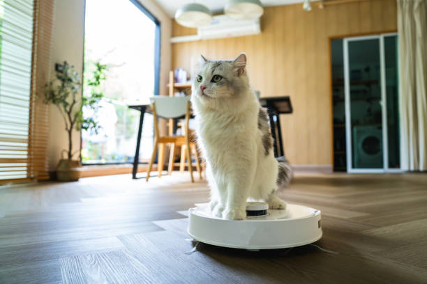 aspirateur robot nuit bébé
