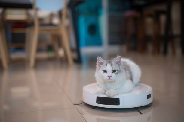 Meilleur aspirateur robot pour éviter les fils et obstacles