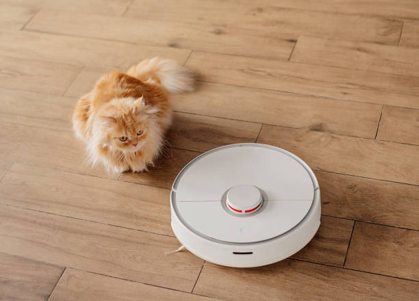 aspirateur robot reconnaissance objets