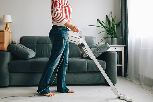 Meilleur aspirateur traîneau au Canada (2026)