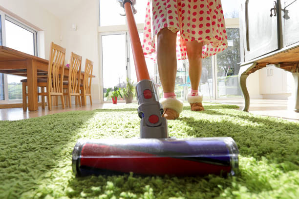 Aspirateur Rowenta au Canada : meilleurs modèles et sacs (2026)