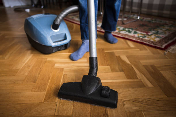 Aspirateur Rowenta au Canada : meilleurs modèles et sacs (2026)