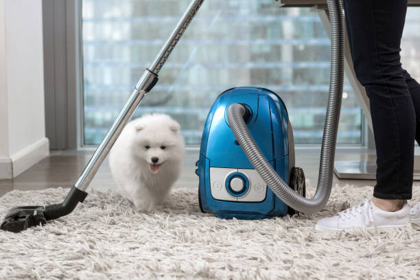 Aspirateur Rowenta au Canada