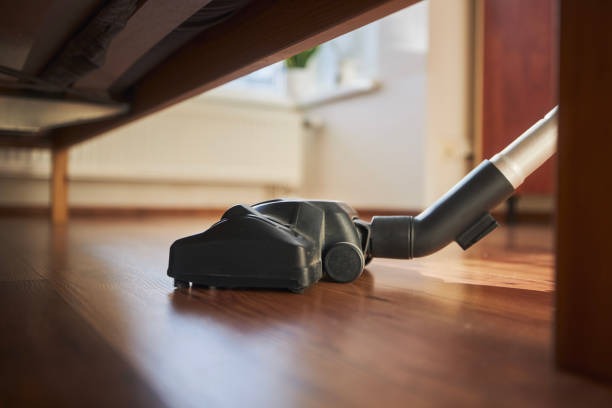 Meilleur aspirateur traîneau au Canada (2026)