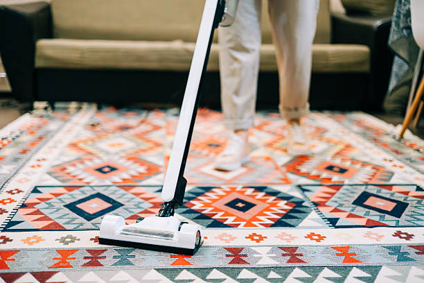 Meilleur aspirateur traîneau au Canada (2026)