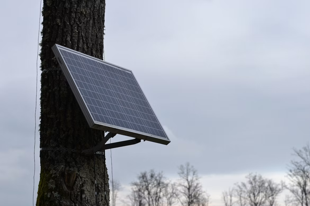 Panneau solaire 100W : lequel choisir au Canada